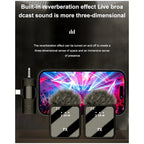 Two black clip-on mics with furry windscreens, a small receiver with a headphone plug, a cable and the box