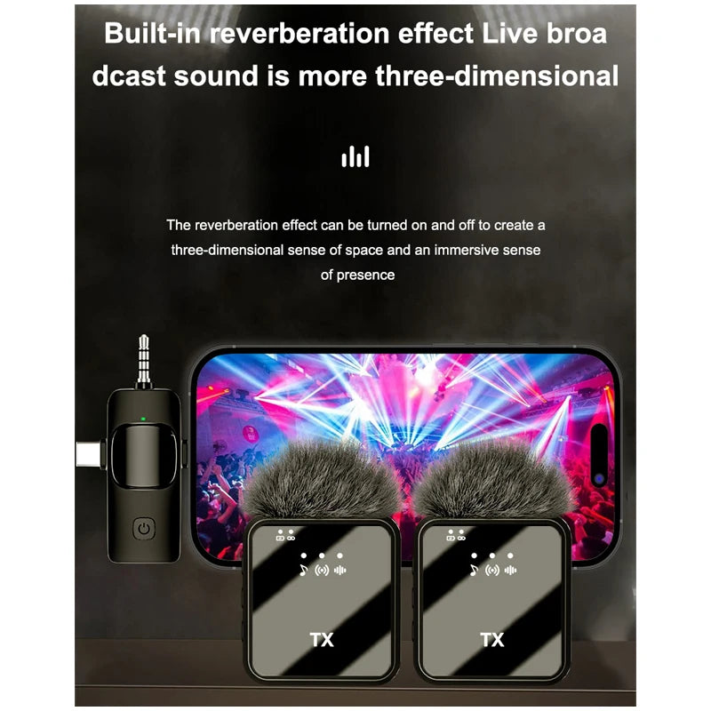 Two black clip-on mics with furry windscreens, a small receiver with a headphone plug, a cable and the box