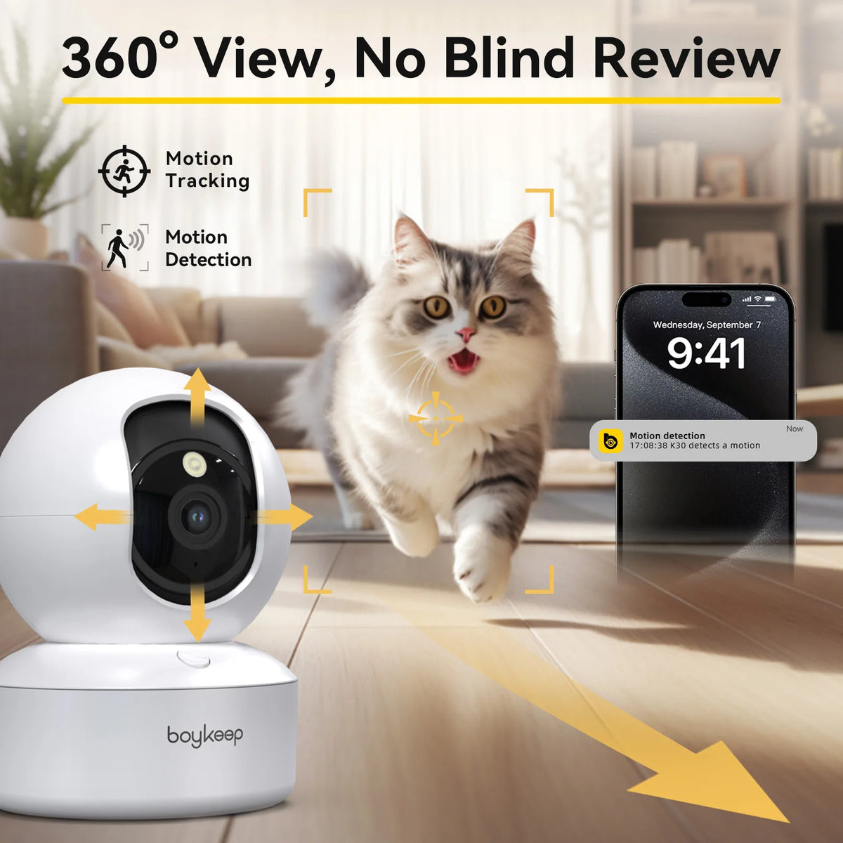 White Boykeep dome camera next to a phone screen showing a fluffy cat running across a floor