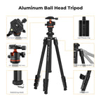 Black K&F Concept tripod with an orange-trimmed ball head, shown with a phone clip, folded legs and a black carry bag