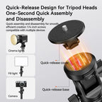 Dark gray Coman tripod with a small tilting head, standing and folded, with close-ups of the locking knobs and spring legs
