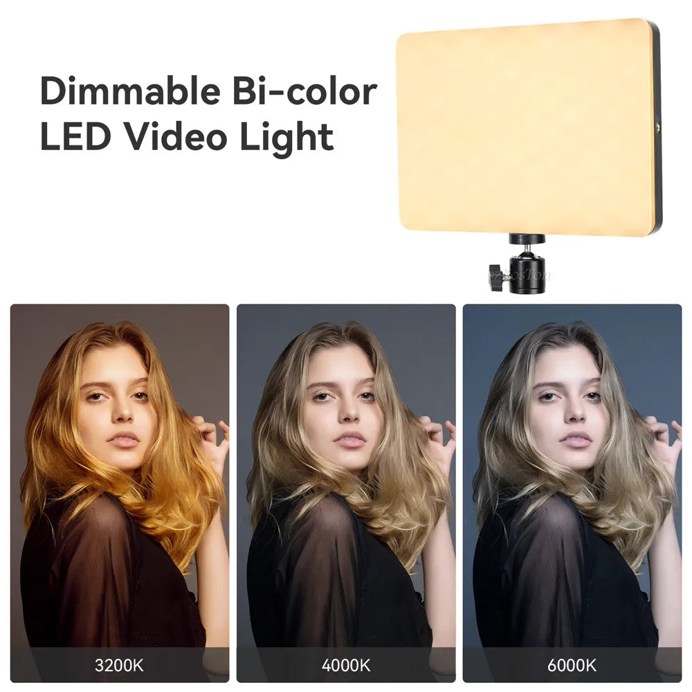 Two slim LED video panel lights on tall black tripod stands, one showing its back, beside three color temperature swatches