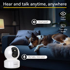 White Boykeep dome camera next to a phone screen showing a fluffy cat running across a floor